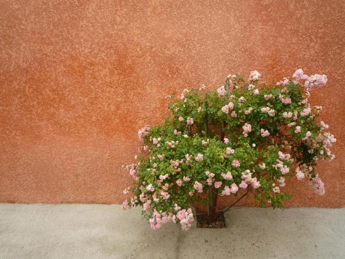Vila Charming And Quaint 2-Bed House In Marseillan Exteriér fotografie